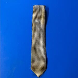 Brioni Sophisticated Gold and Black Tie